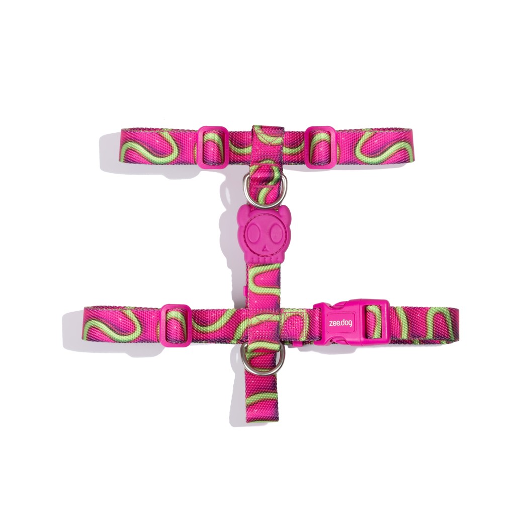 Pettorina ad H H3D Jelly