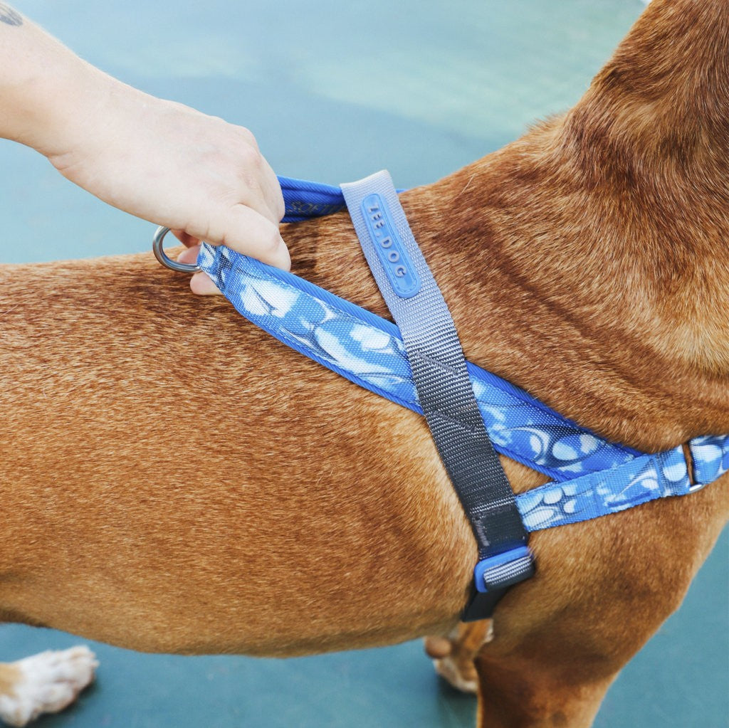 Pettorina Norvegese Softer-walk H3D Fly