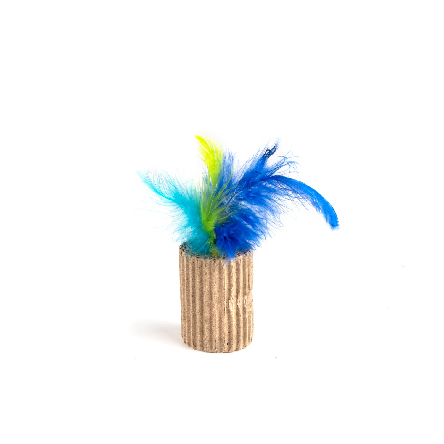 Fuzz Gioco Rotolino con Piume