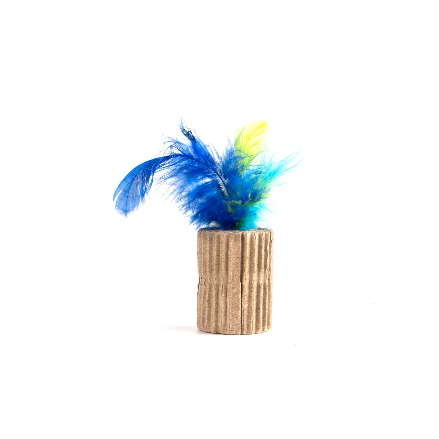 Fuzz Gioco Rotolino con Piume