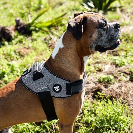 Pettorina con Maniglia - Flyharness Urban