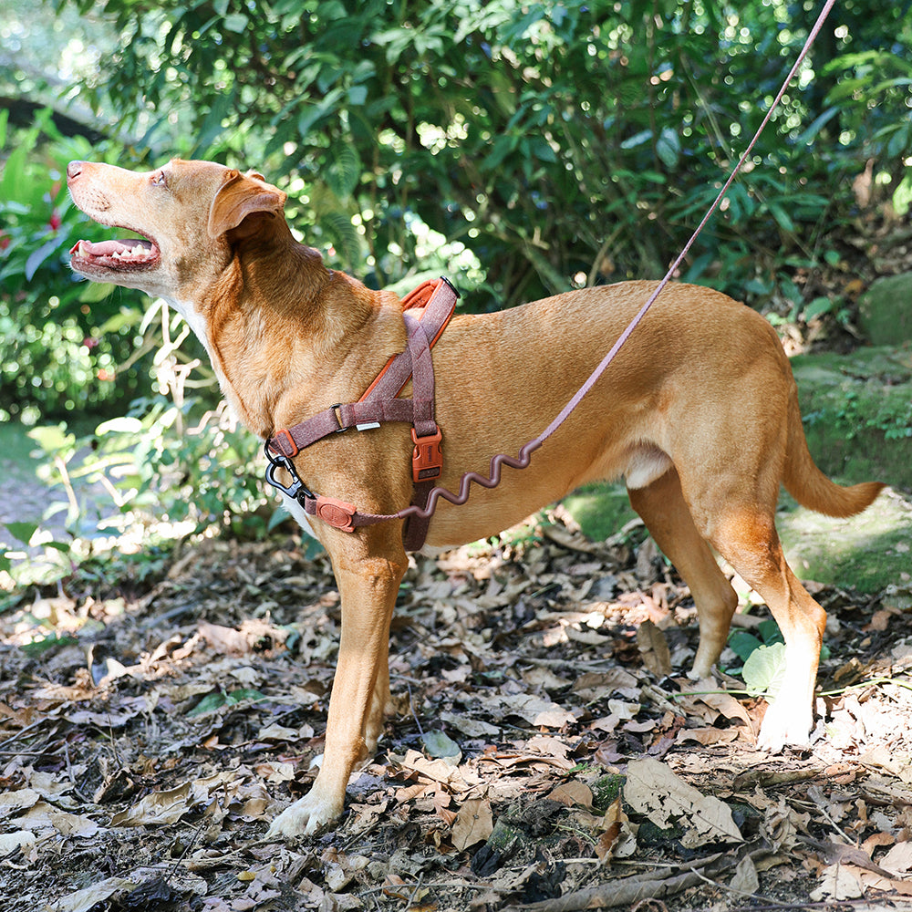 Pettorina Norvegese Softer-Walk Naturals 2.0 Cacao