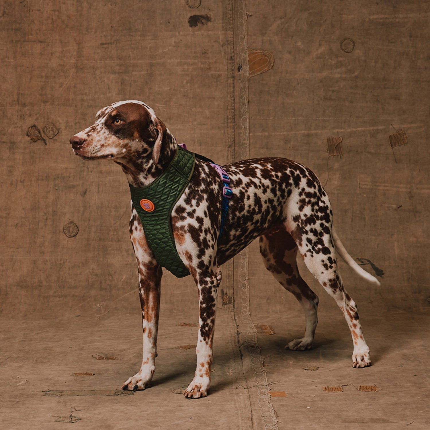 Pettorina a Maglia Regolabile Reebok Trekk