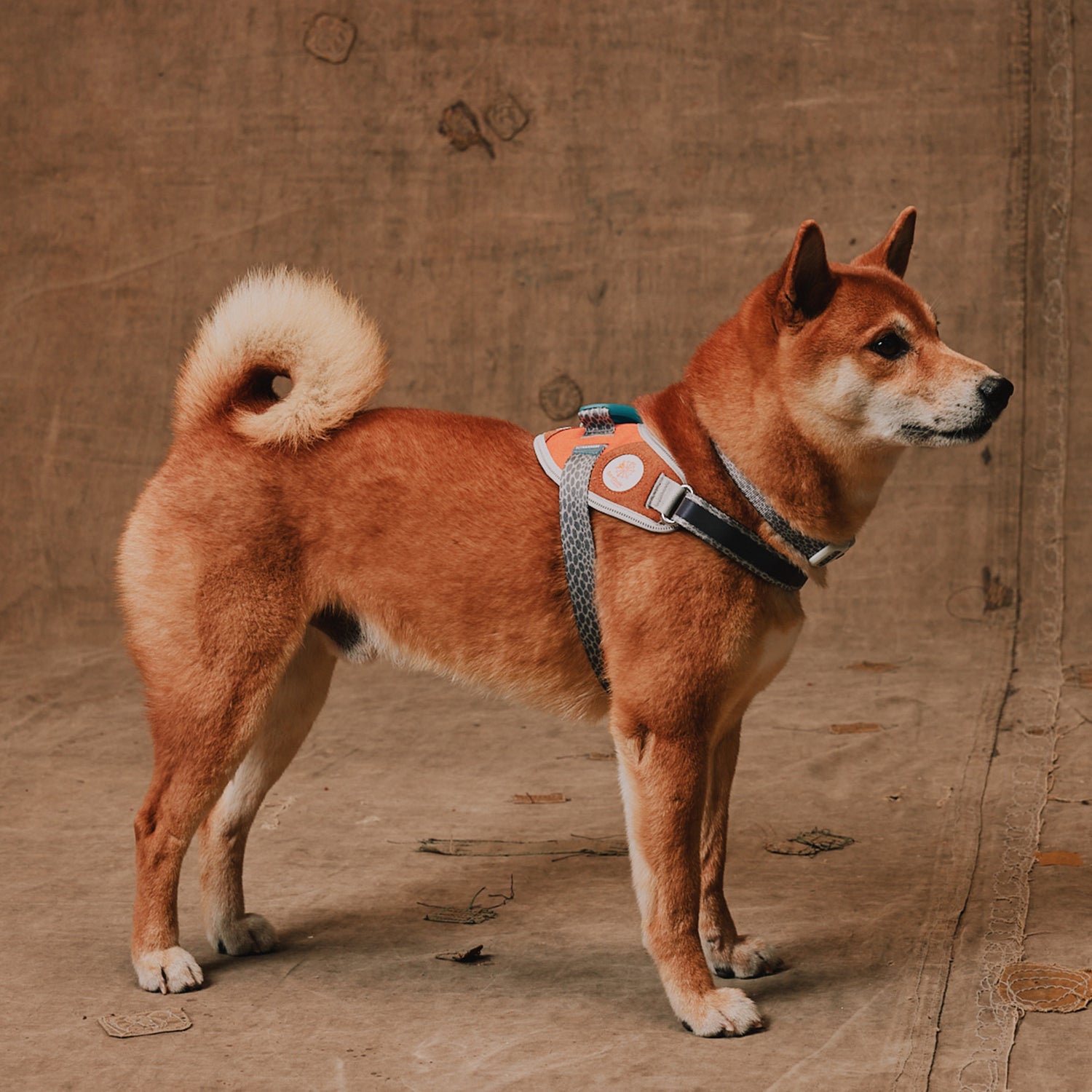 Pettorina con Maniglia - Reebok Suede