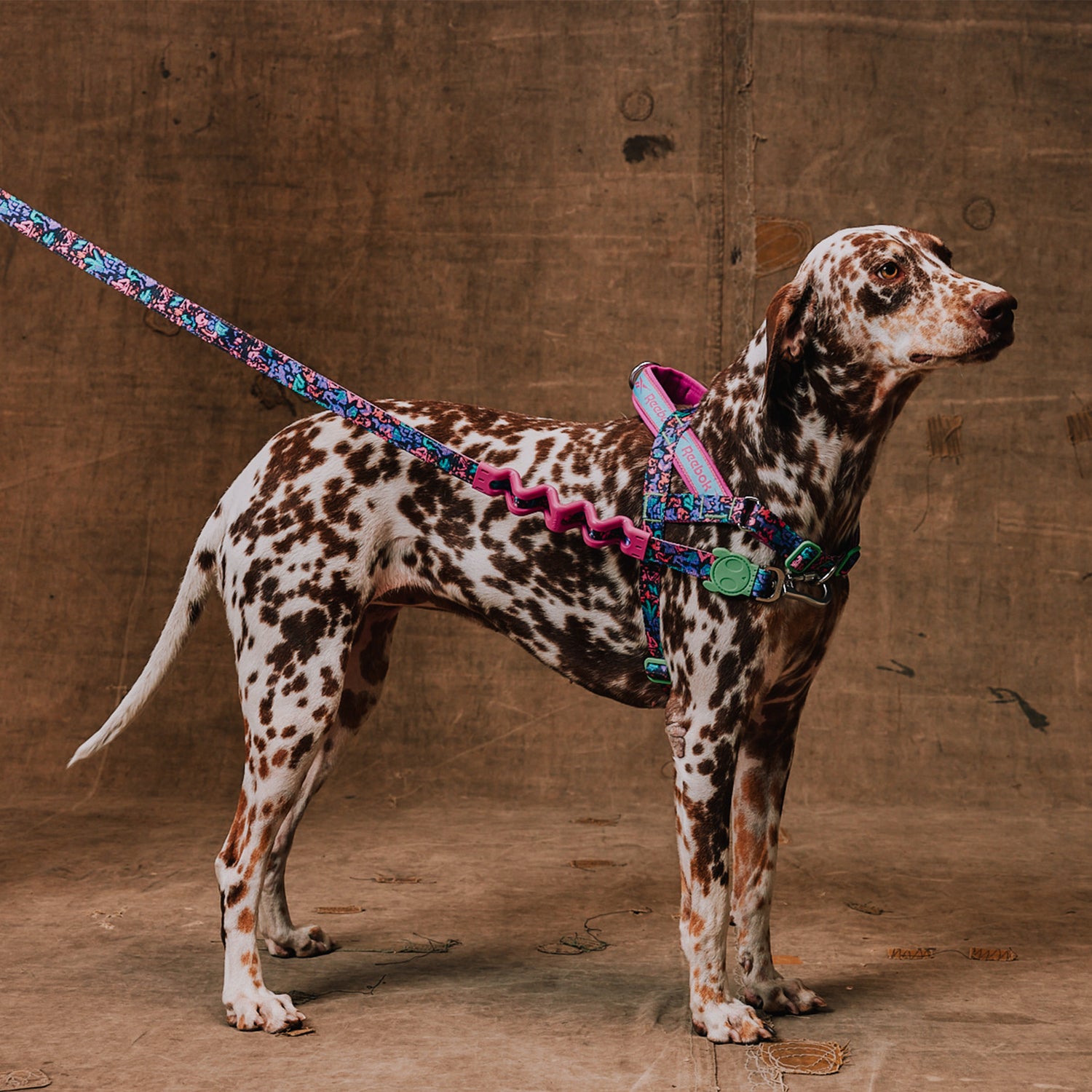 Pettorina Norvegese Softer-Walk Reebok Aerobic