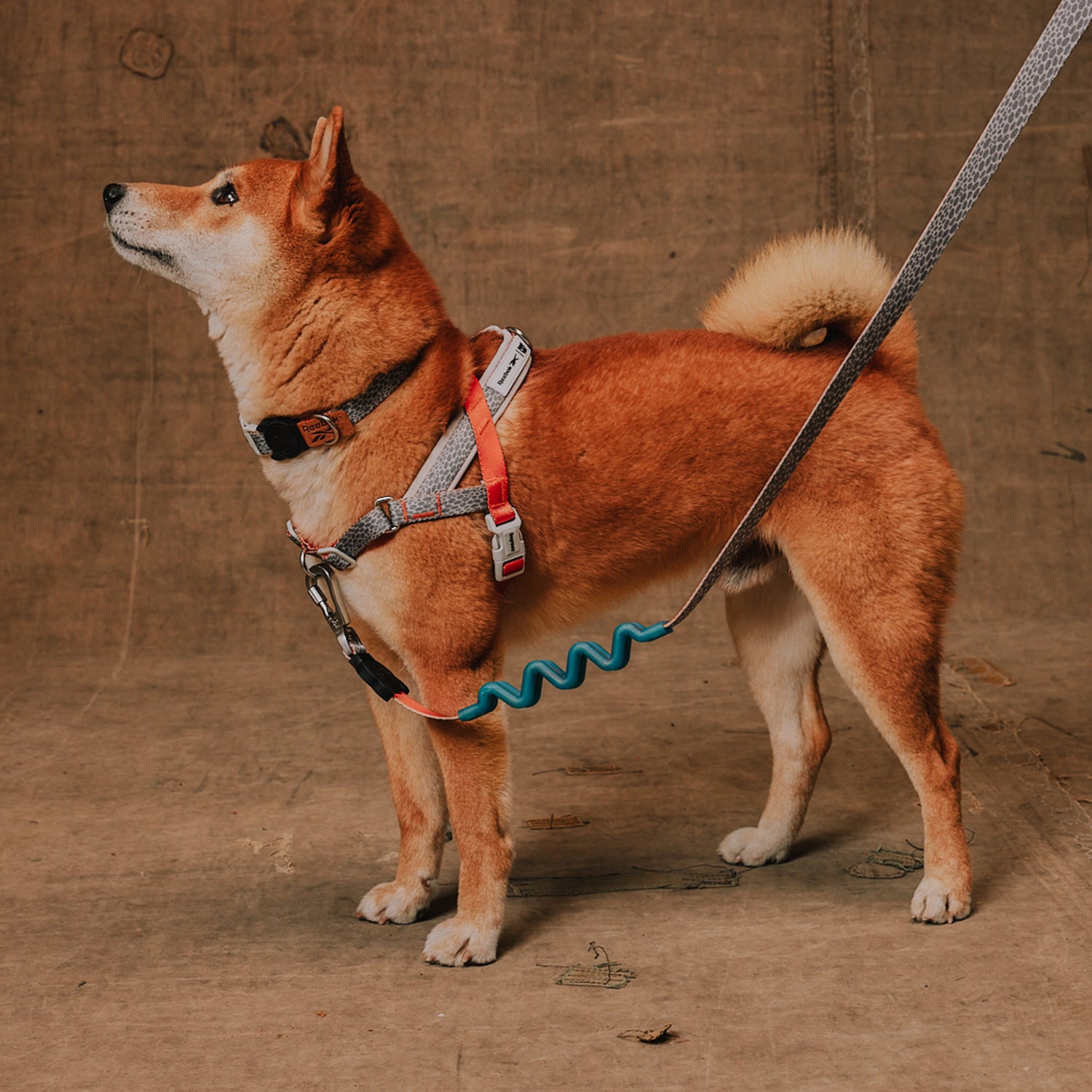 Pettorina Norvegese Softer-Walk Reebok Suede