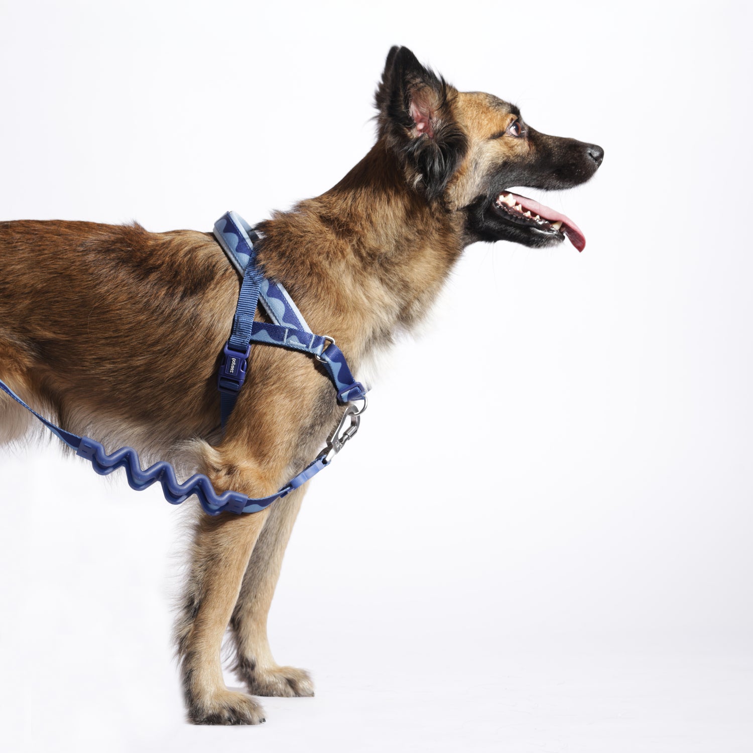 Pettorina Norvegese Softer-walk Swell