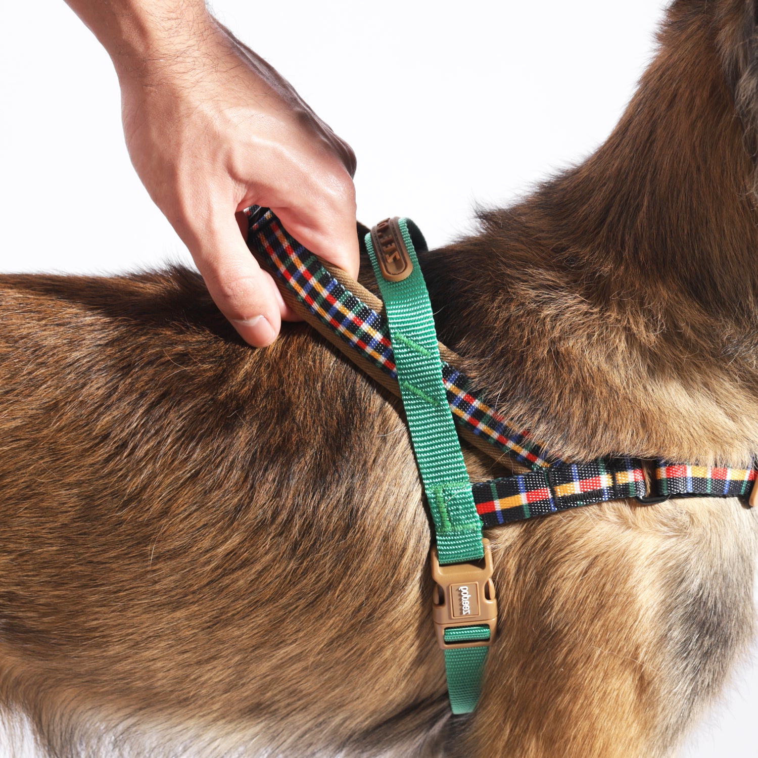 Pettorina Norvegese Softer-walk Travis