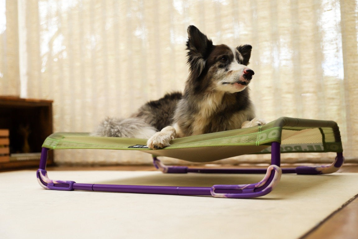 Cuccia Air.bed Verde