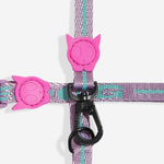 Set Pettorina e Guinzaglio Gatto Aura