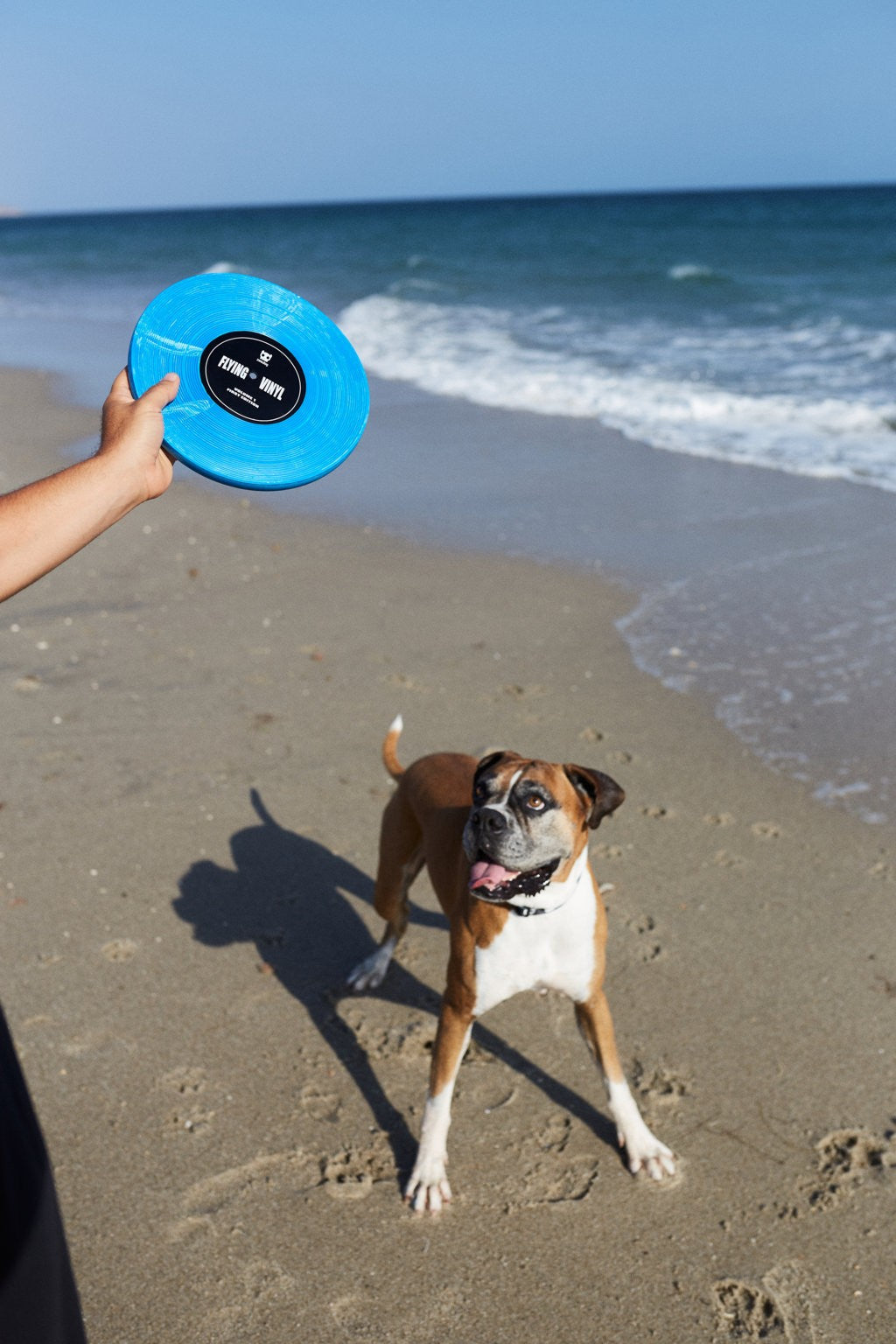 BLUES VYNIL FRISBEE