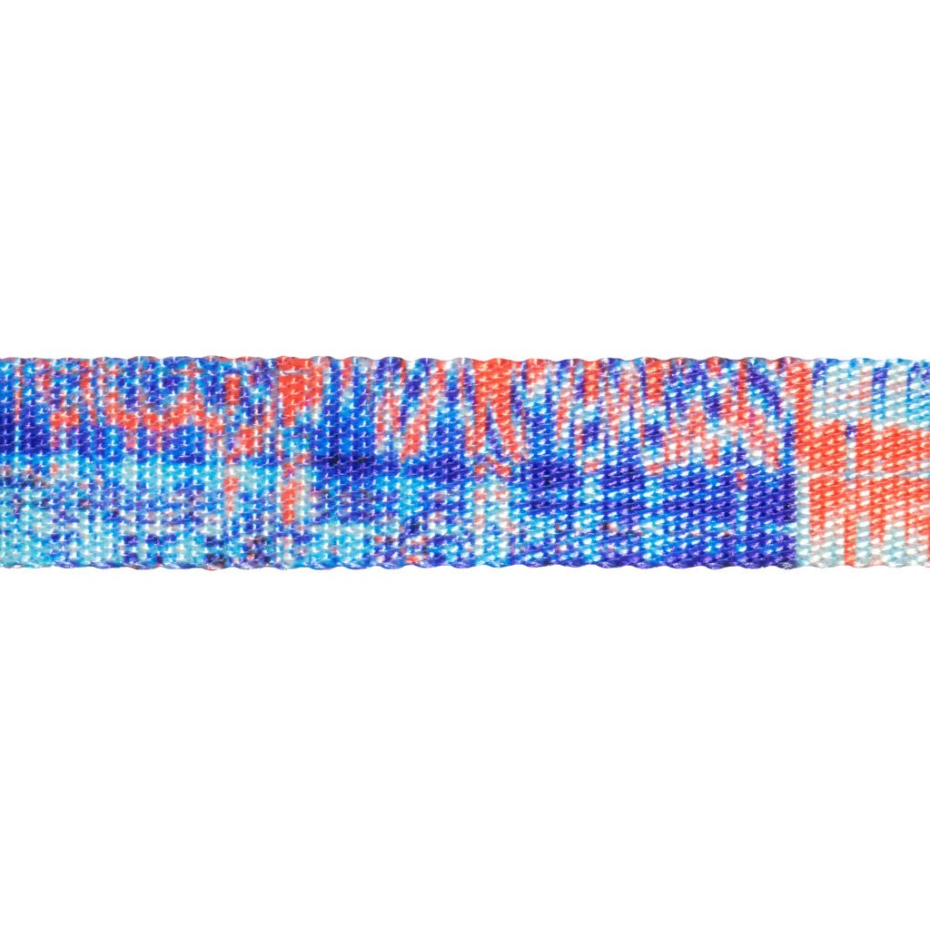 Collare Glitch 404