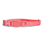 Collare Neopro Bubblegum
