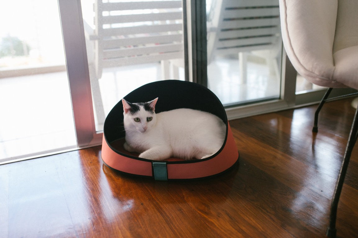 Zee.Cat Cuccia Gatto Terracotta