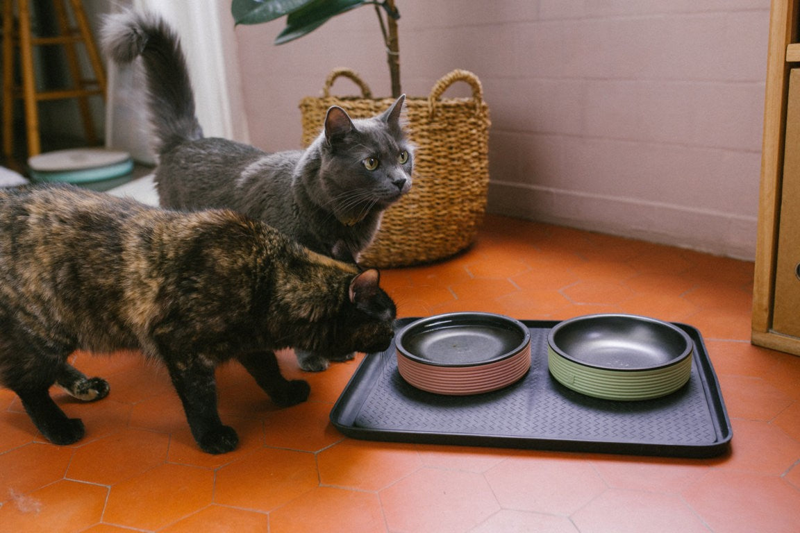Duo Bowl Olive