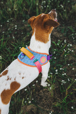 Pettorina con Maniglia - Flyharness Galaxy