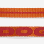Pettorina ad H Gibson