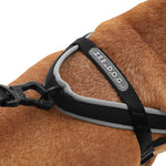 Pettorina Norvegese Softer-Walk Gotham