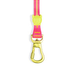 Guinzaglio allungabile Long leash Drago - regolabile fino a 3 metri