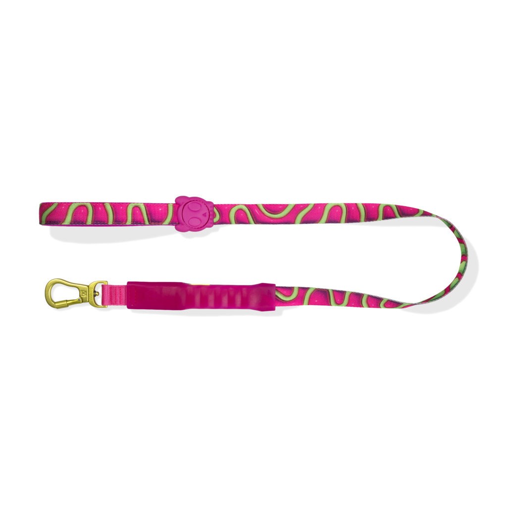 Guinzaglio ammortizzato ultra leggero H3D Jelly - Airleash