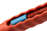 Guinzaglio Ammortizzato Ultra Leggero Crimson - Airleash