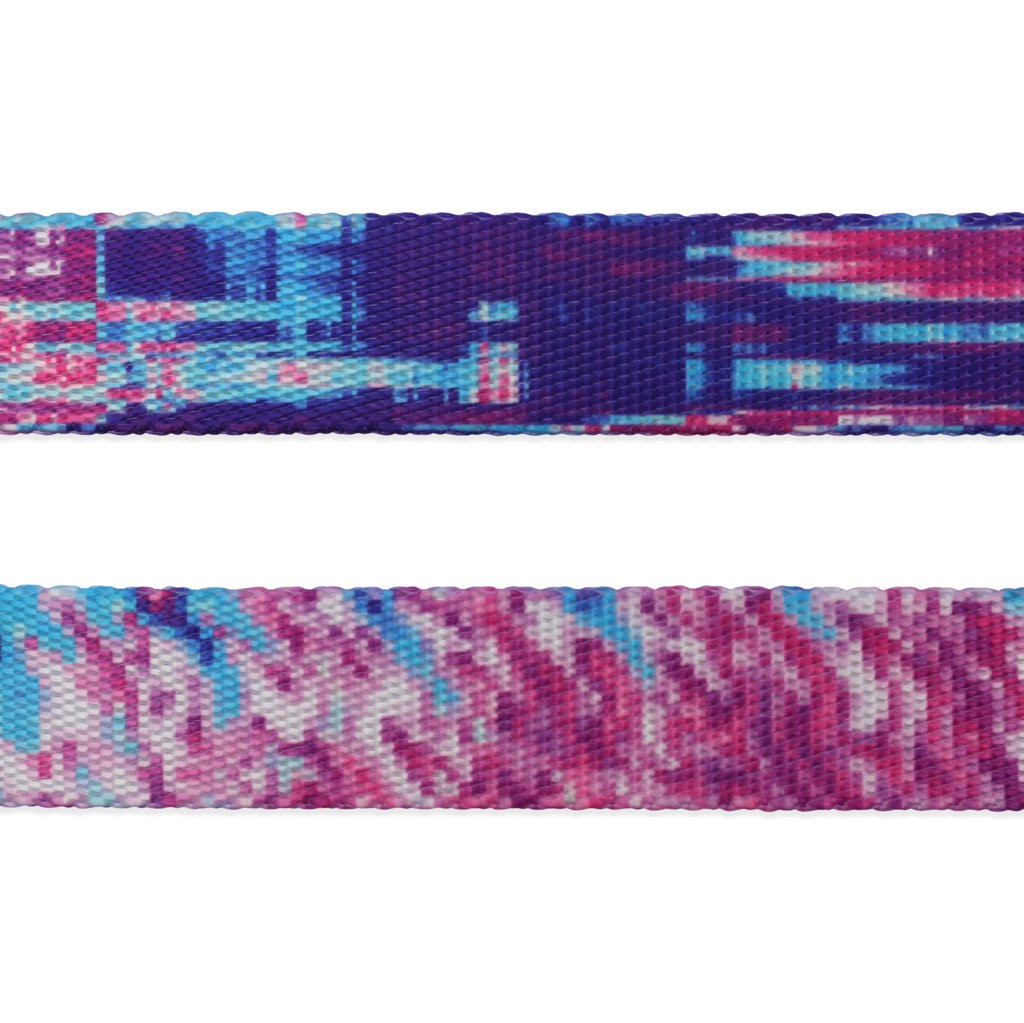 Guinzaglio Glitch 502
