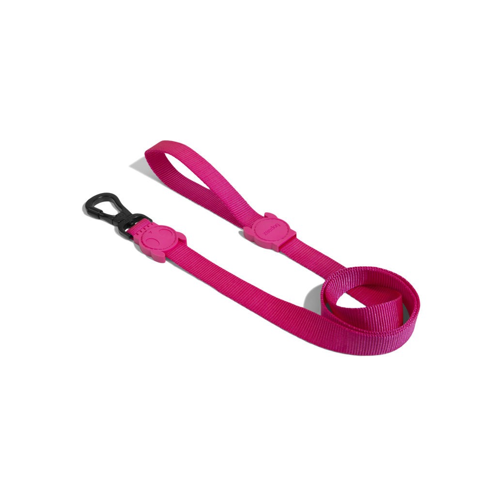 Guinzaglio Pink Led