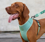 Pettorina a maglia regolabile Army Green
