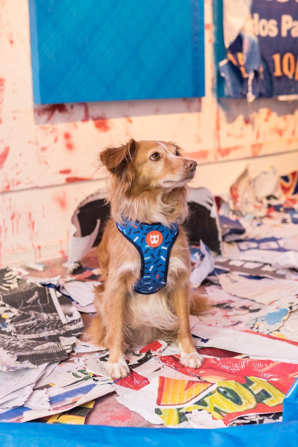 Pettorina a maglia regolabile Atlanta