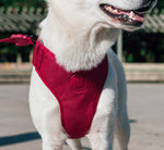 Pettorina a maglia regolabile Bordeau
