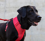 Pettorina a maglia regolabile Neon Coral