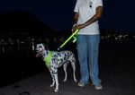 Pettorina a maglia regolabile NOX Lumen - con dettagli riflettenti