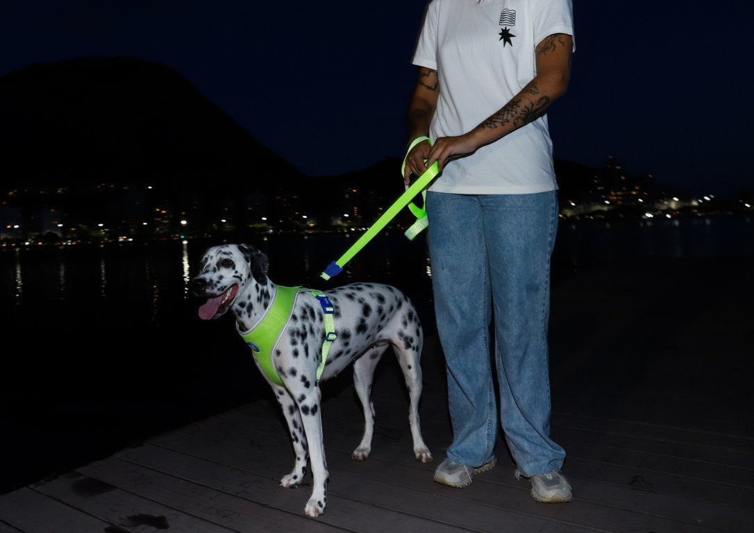 Pettorina a maglia regolabile NOX Lumen - con dettagli riflettenti
