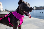 Pettorina a maglia regolabile Pink Led