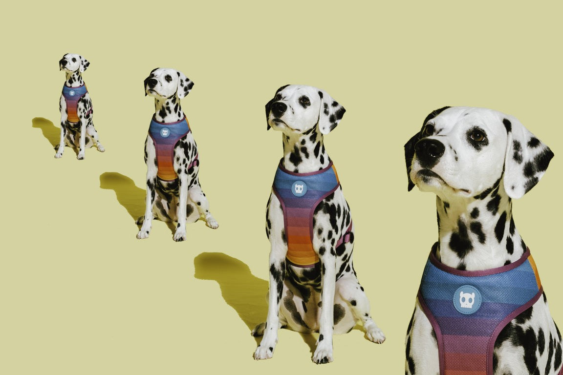 Pettorina a maglia regolabile Prisma