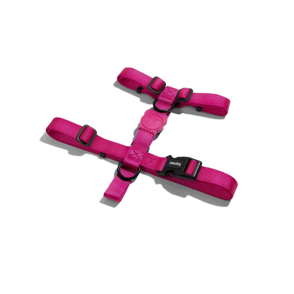 Pettorina ad H Pink Led