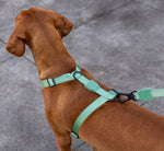 Pettorina ad H Army Green