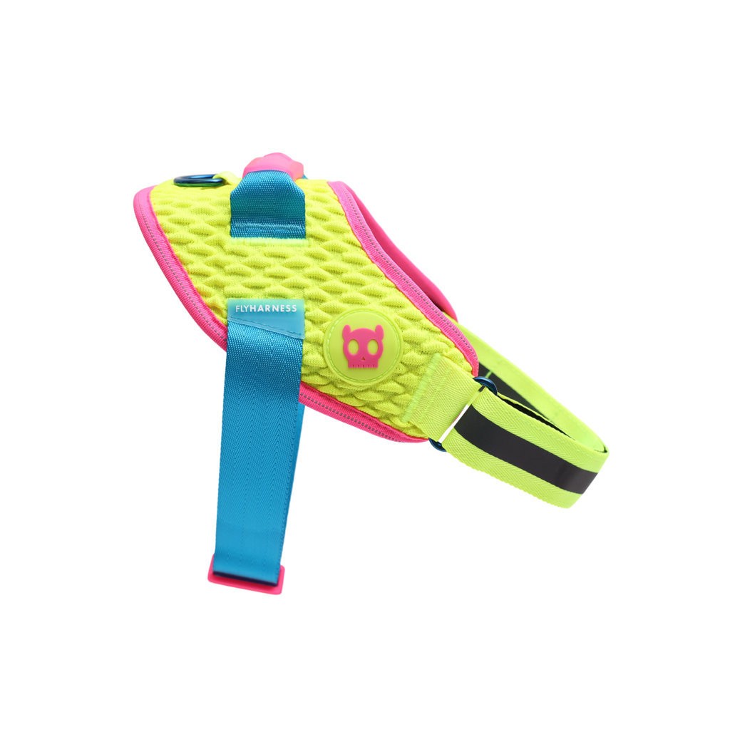 Pettorina con Maniglia - Flyharness CMYK