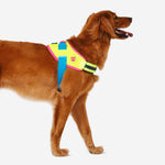 Pettorina con Maniglia - Flyharness CMYK