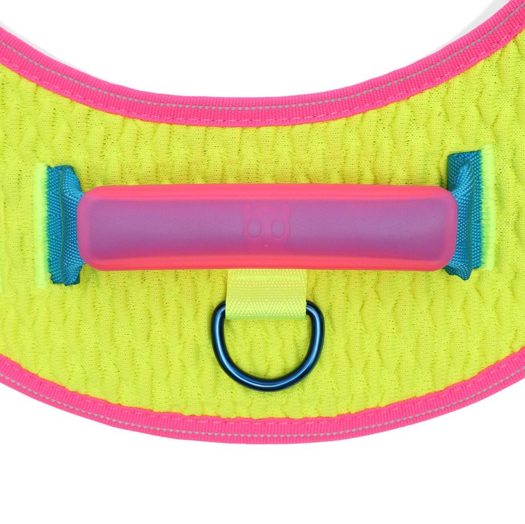 Pettorina con Maniglia - Flyharness CMYK