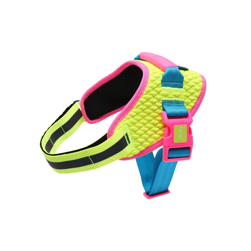 Pettorina con Maniglia - Flyharness CMYK