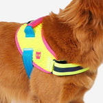 Pettorina con Maniglia - Flyharness CMYK