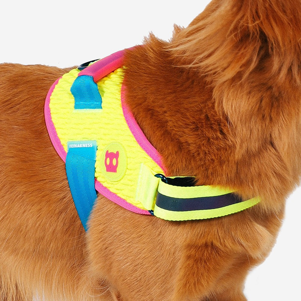 Pettorina con Maniglia - Flyharness CMYK