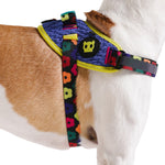 Pettorina con Maniglia - Flyharness Farm Rio Samba