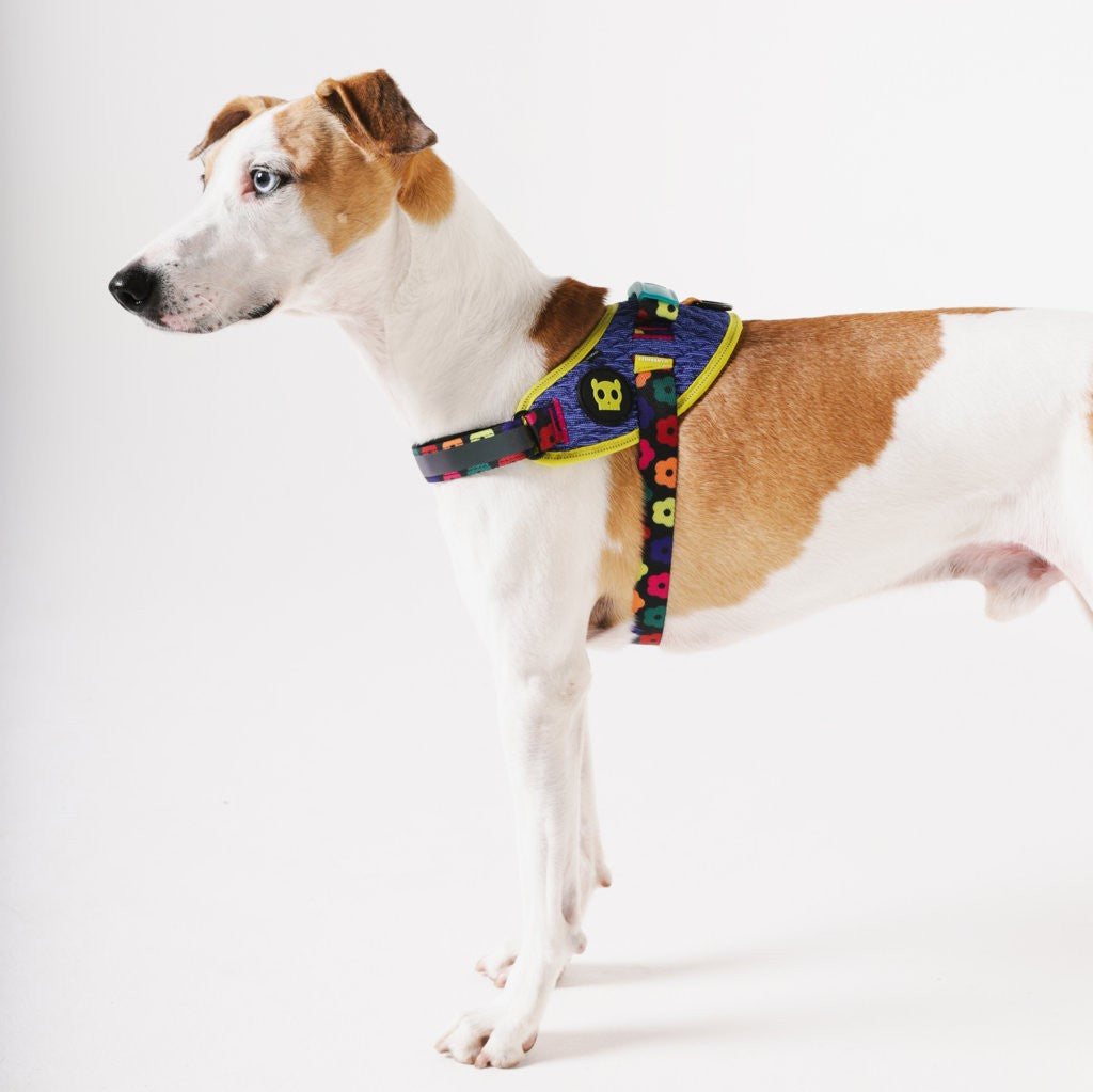 Pettorina con Maniglia - Flyharness Farm Rio Samba