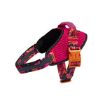 Pettorina con Maniglia - Flyharness Farm Selva
