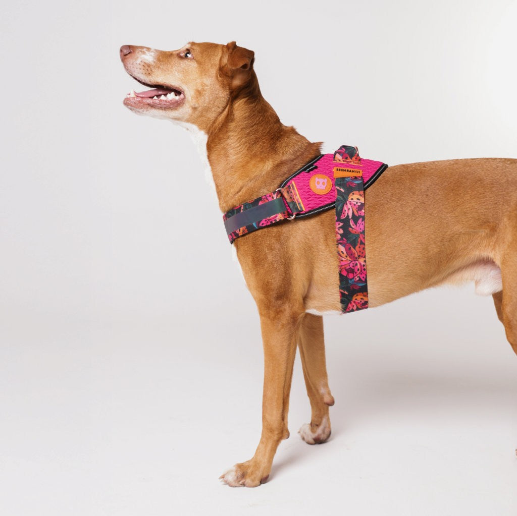 Pettorina con Maniglia - Flyharness Farm Selva