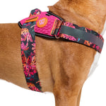Pettorina con Maniglia - Flyharness Farm Selva