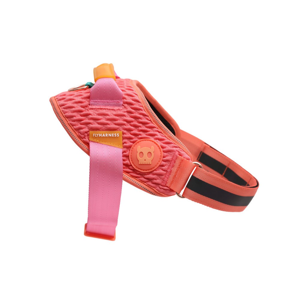 Pettorina con Maniglia - Flyharness Gazelle
