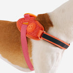 Pettorina con Maniglia - Flyharness Gazelle
